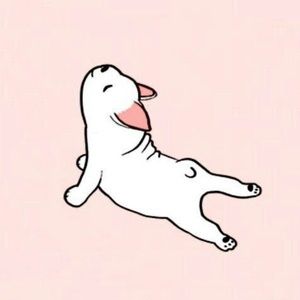 Meet your Posher, Molly